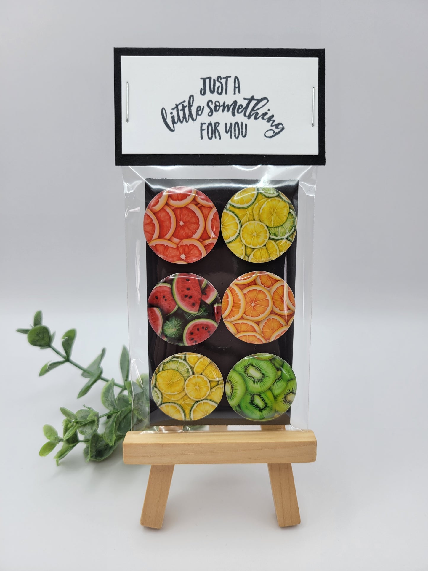 Fresh Fruit Magnets