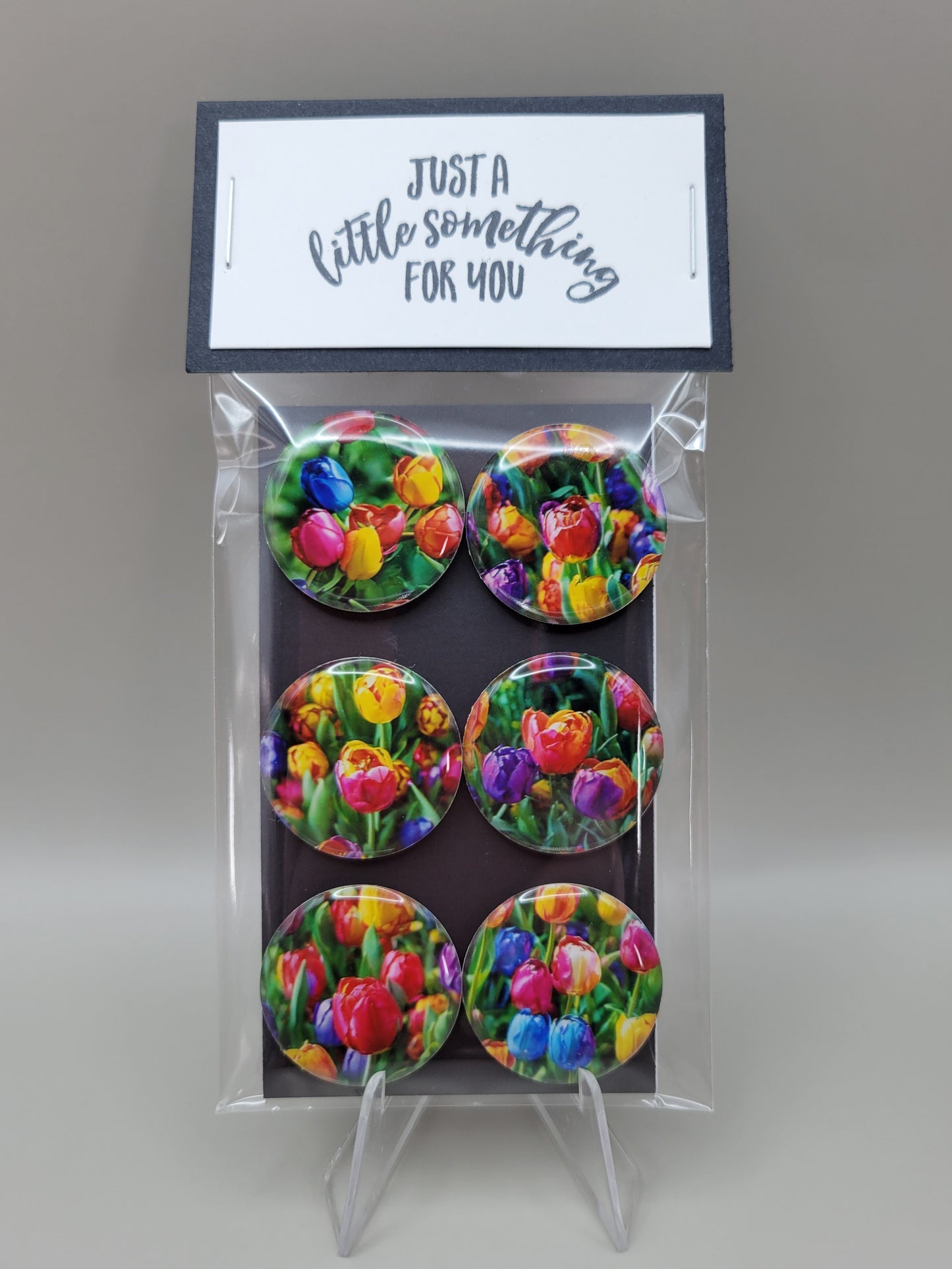 Colorful Tulips Magnets