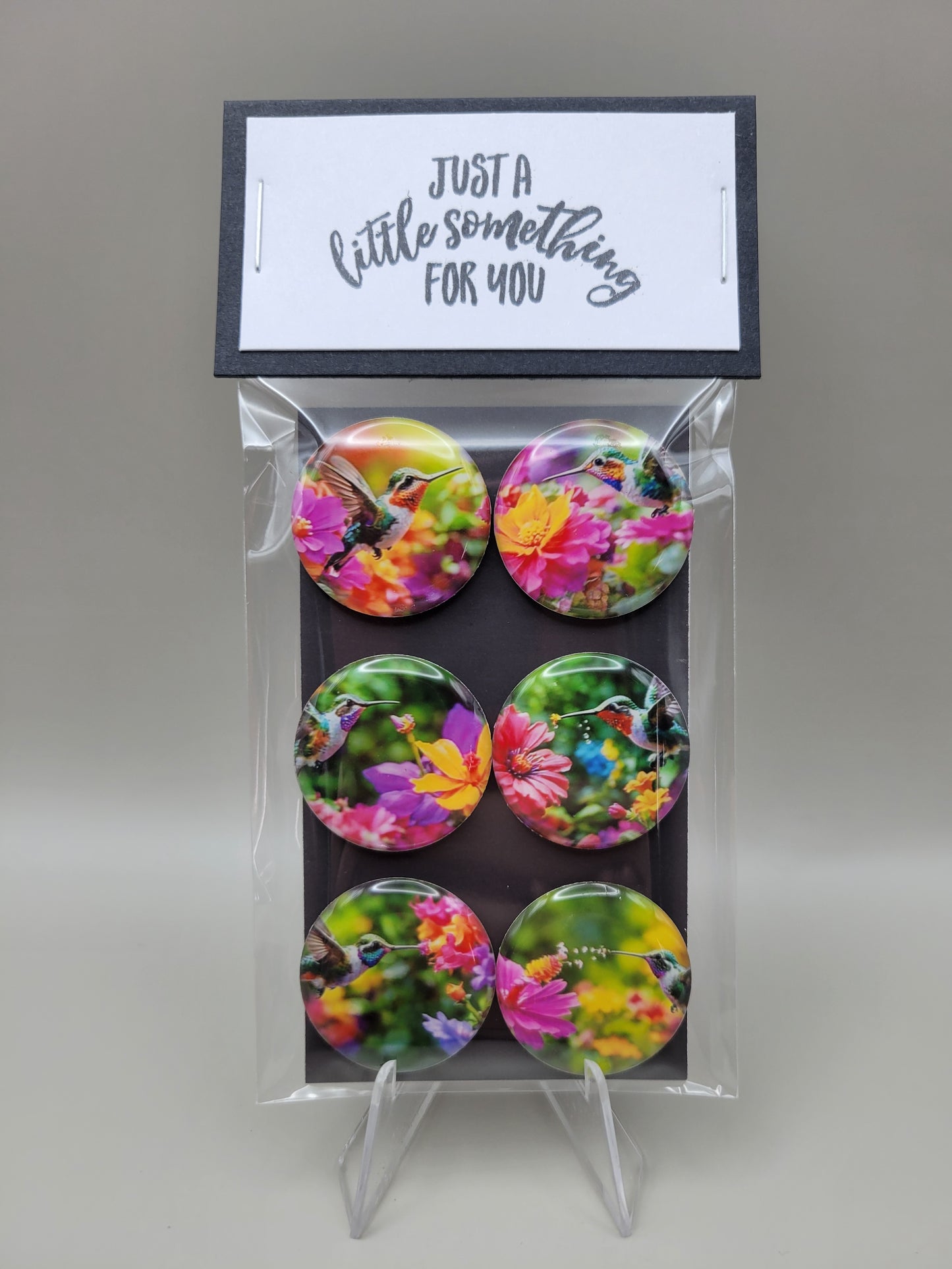 Colorful Hummingbird Magnets