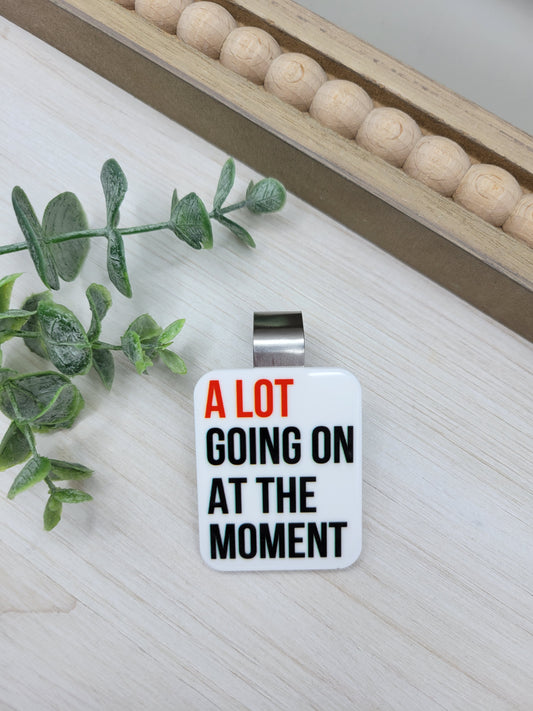 A Lot Going On Car Sun Visor Clip
