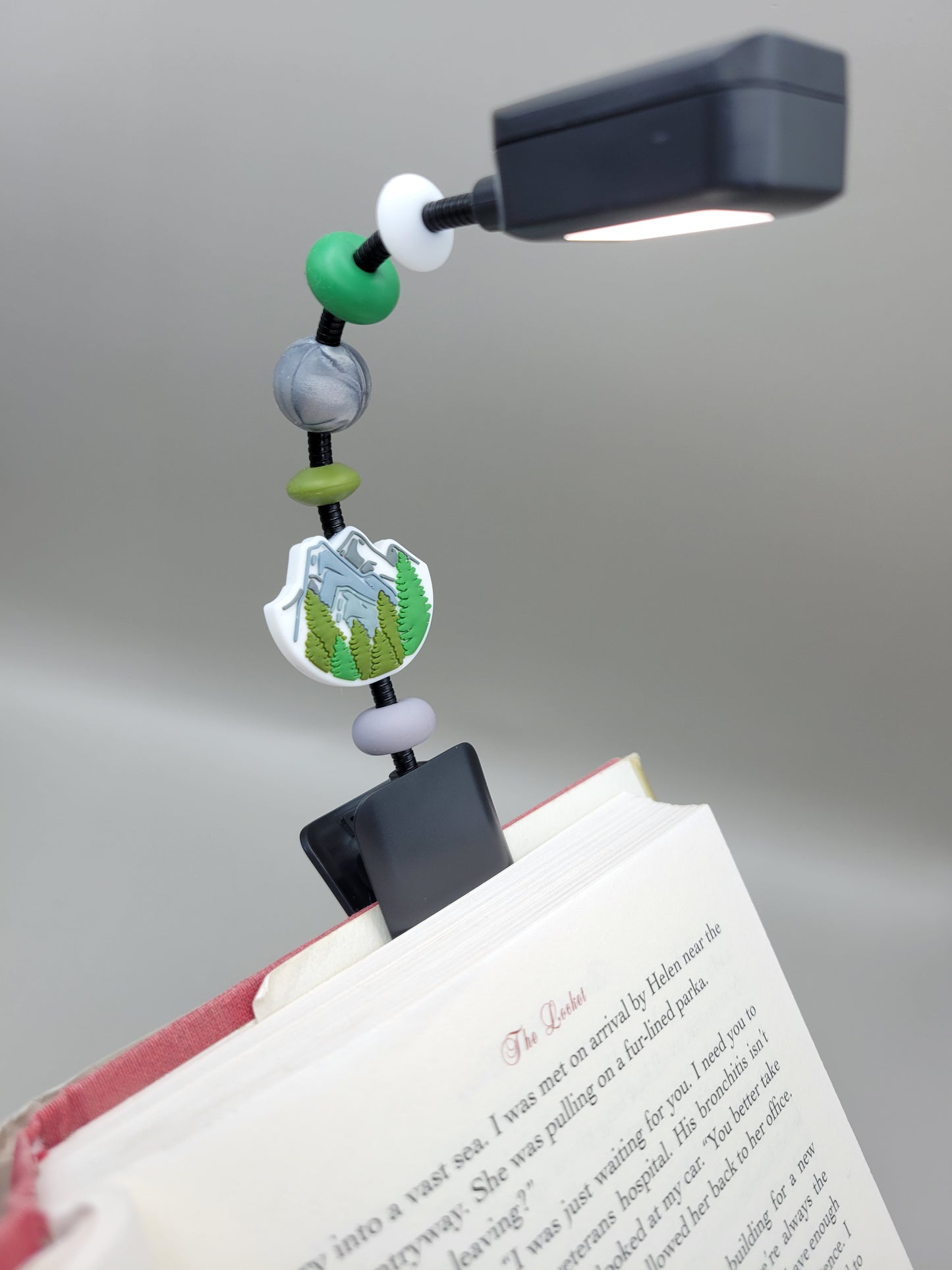 Mountain Scene Reading Light