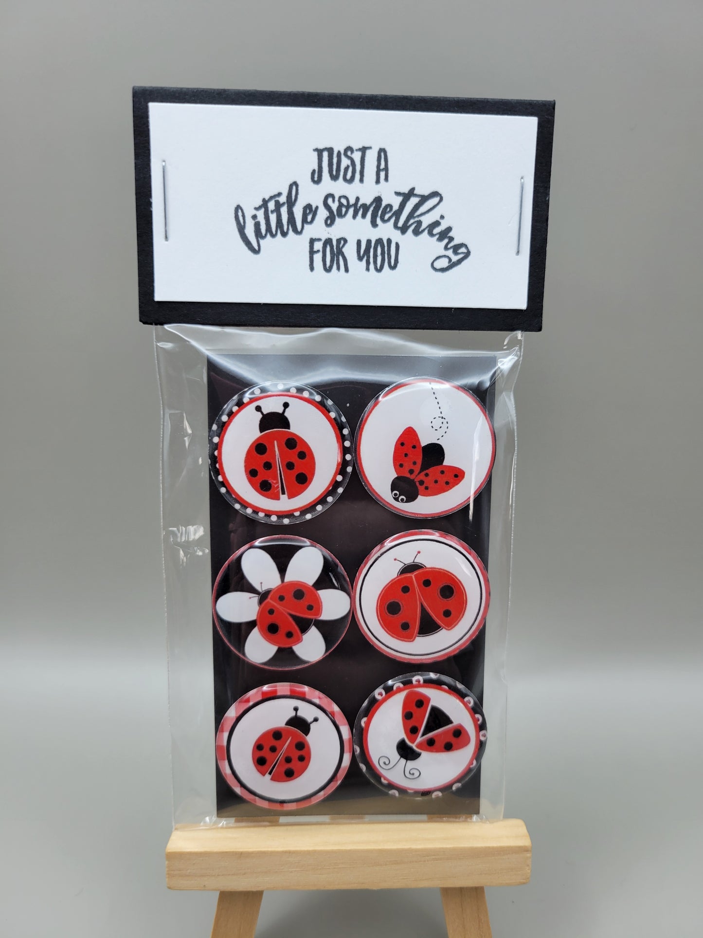 Ladybug Magnets (options)