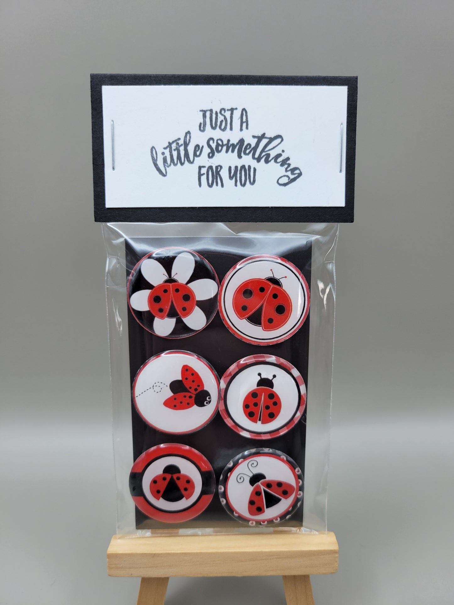 Ladybug Magnets (options)