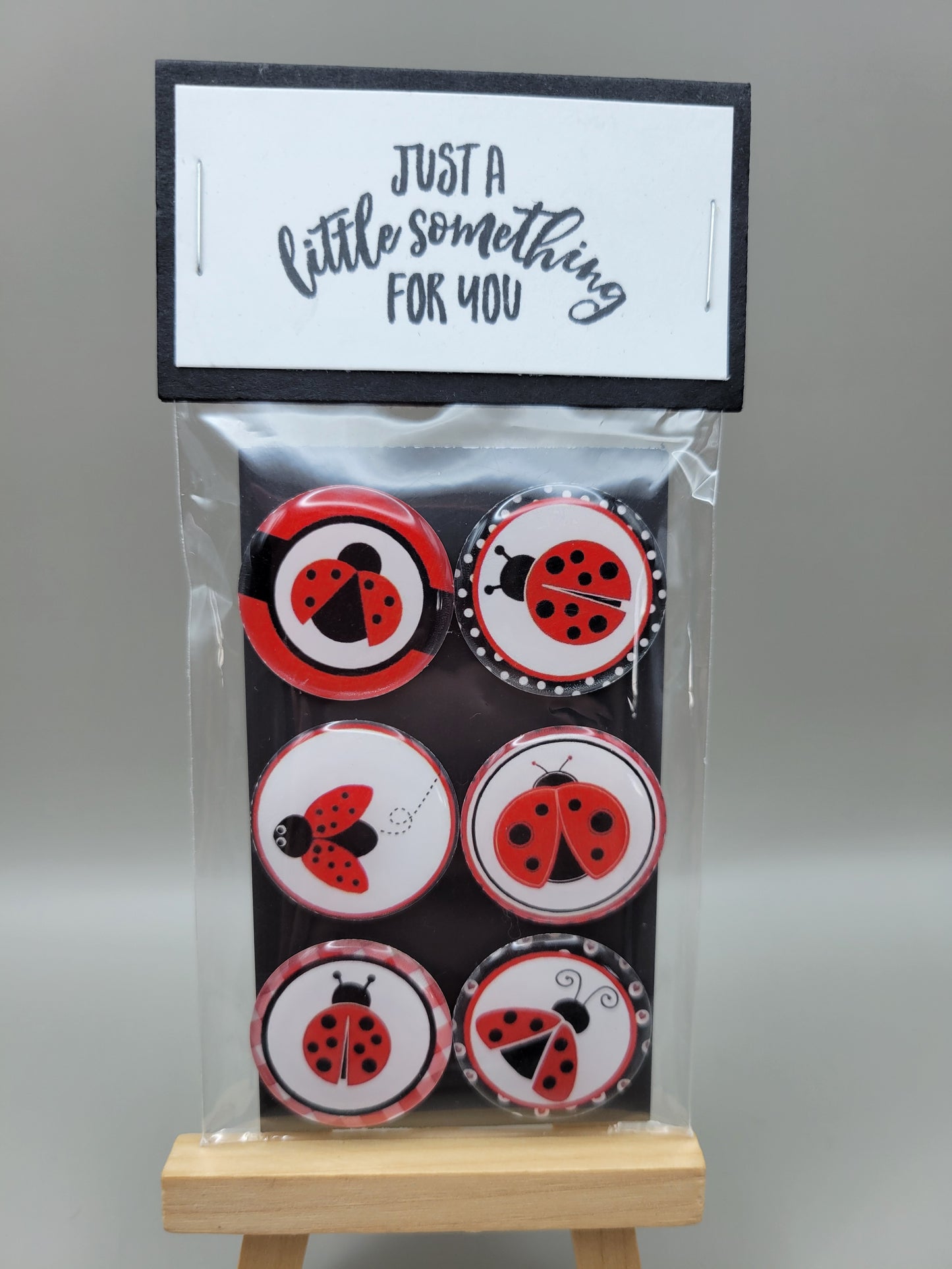 Ladybug Magnets (options)