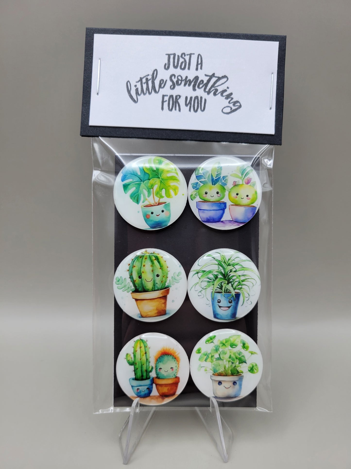 Cute Cactus Magnets
