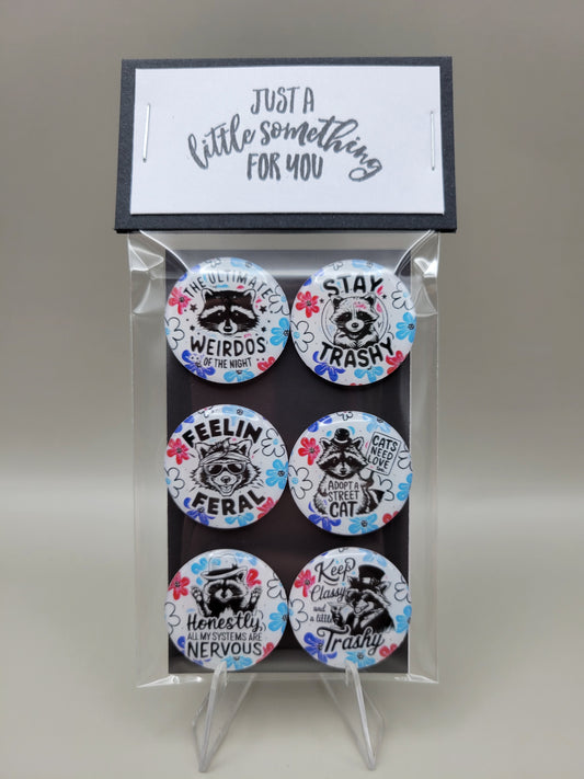 Sassy Racoon Magnets