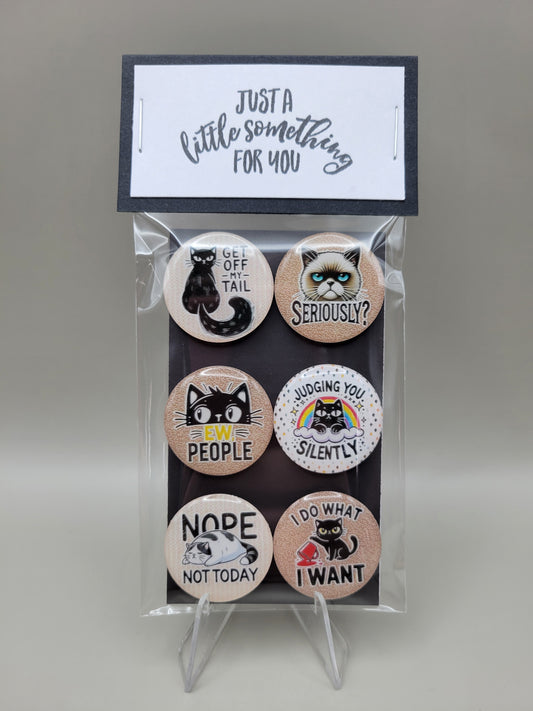 Sassy Cat Magnets