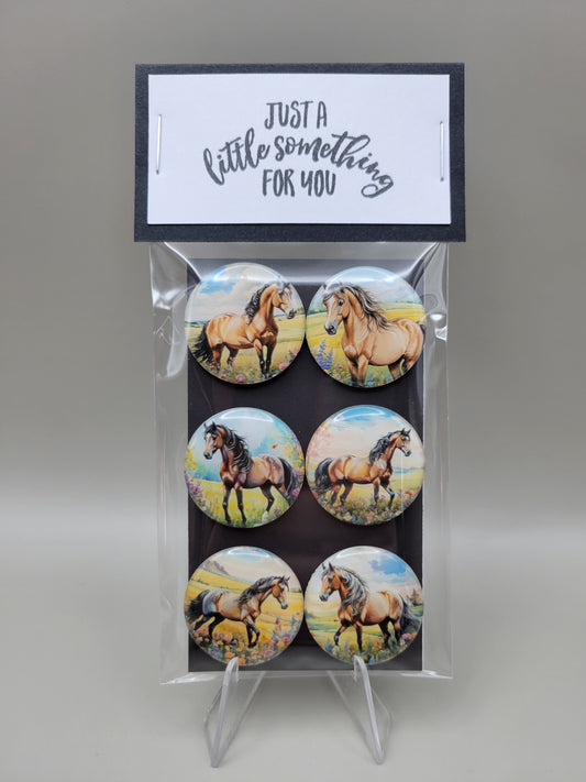 Horse Magnets