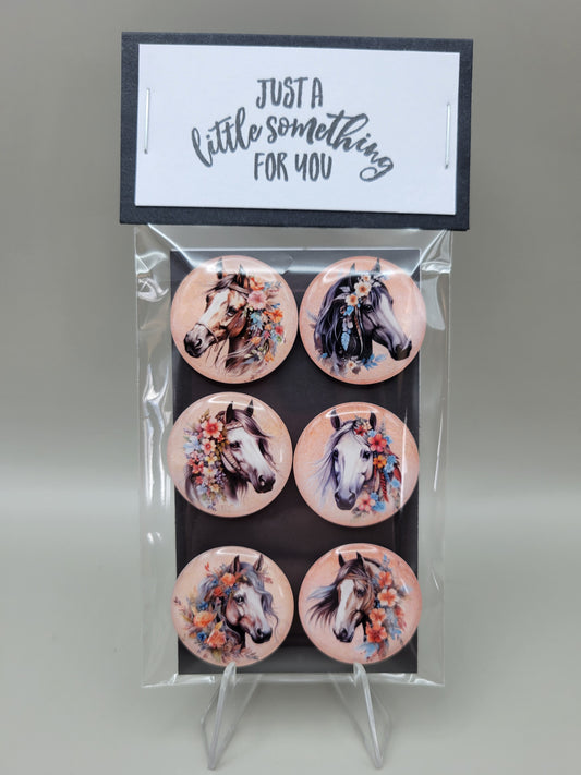 Equine Elegance Magnets