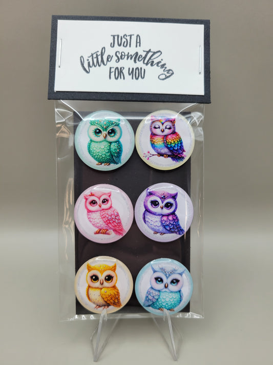 Rainbow Owl Magnets