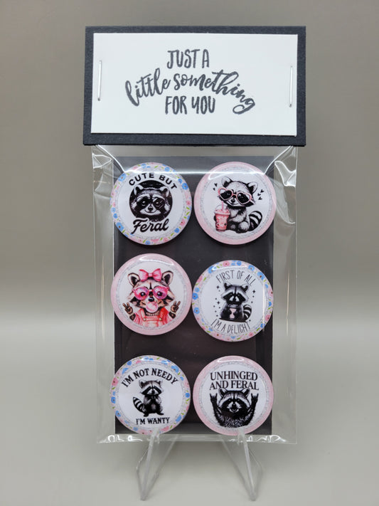 Sassy Bandits Magnets