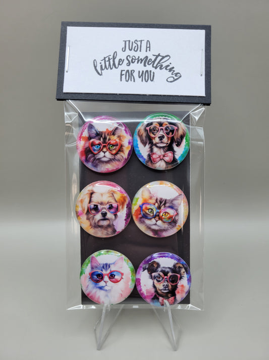 Rainbow Paws Magnets