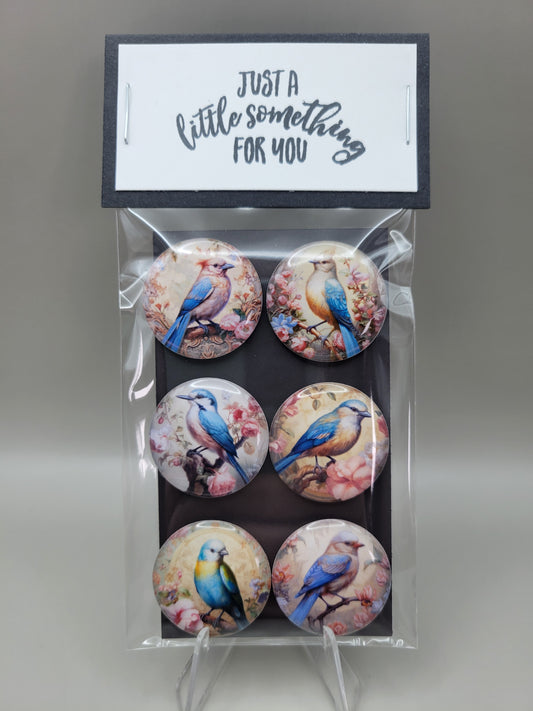 Pastel Bird Magnets