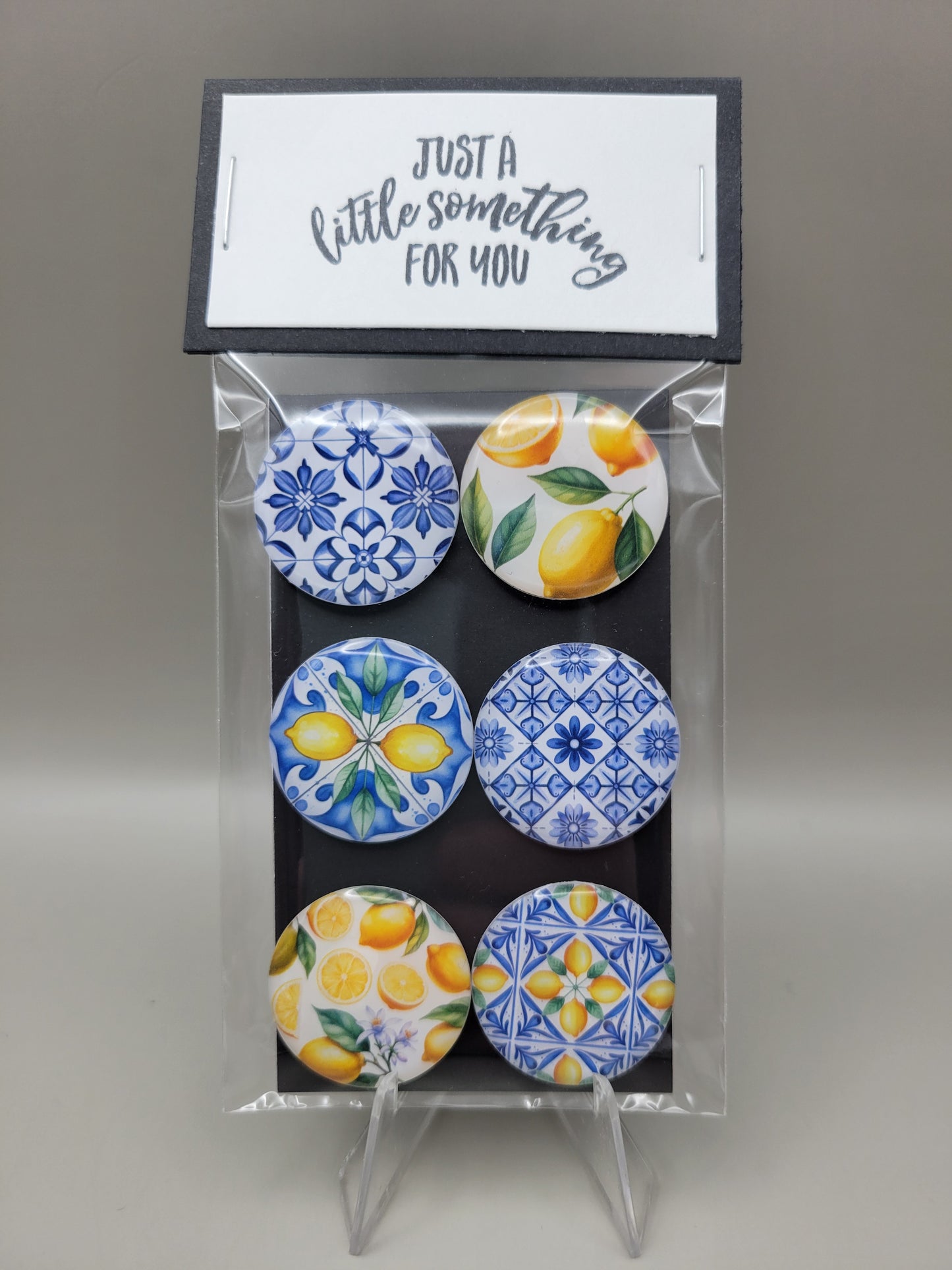 Sunny Citrus Magnets