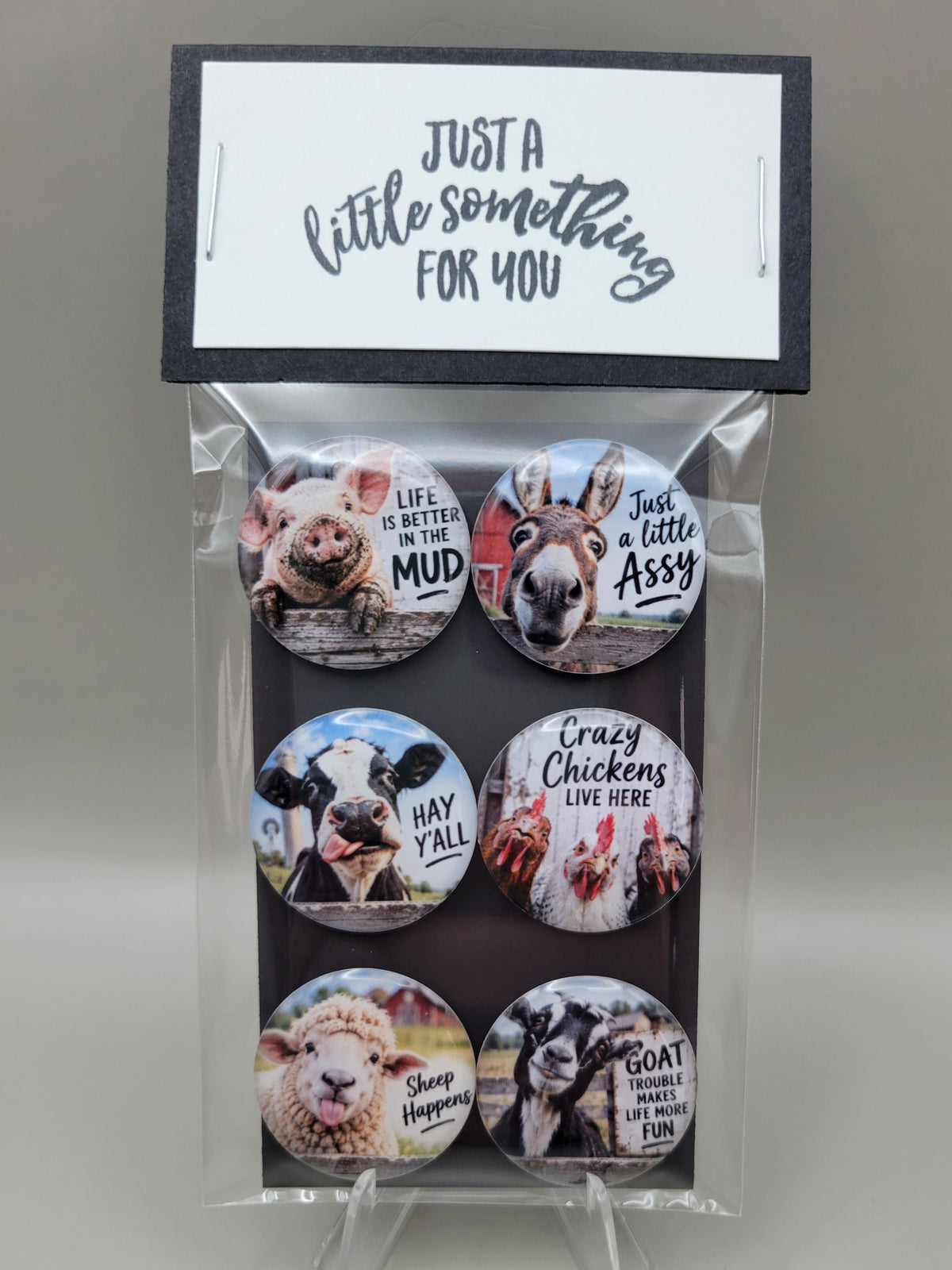Barnyard Shenanigans Magnets