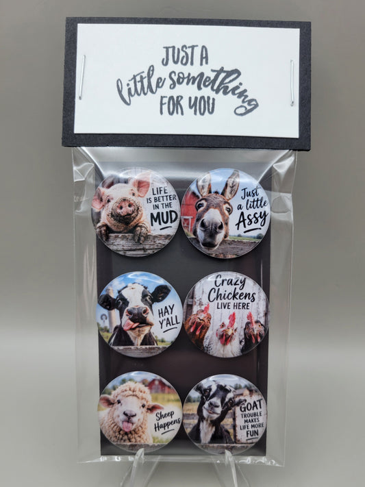 Barnyard Shenanigans Magnets